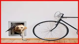 Ideal Pet Products Designer Series Ruff Weather Pet Door Wall Installation Kit
