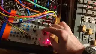Jam: quantised LFO + plucky sounds on a modular synth