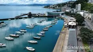 New Zealand | Wellington | Drone Footage