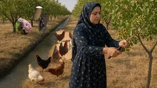 🍁&ldquo;Watch and learn gardening &mdash; hardship means nothing to this woman.👩&zwj;🌾