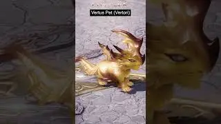 NEW Vertus Pet Spotlight Lost Ark #Shorts
