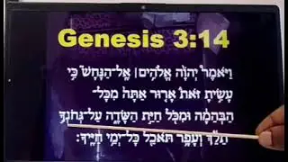 SLOW READING OF GENESIS 3:14 IN THE HEBREW LANGUAGE