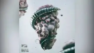 Hounds - Myria [Free Download]