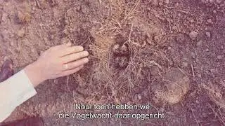 Lammert Stellema over het oprichten van de Vogelwacht Brantgum Raard