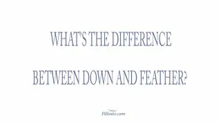 What's The Difference Between Down and Feather?