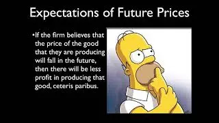 Expectation of Future Price