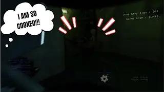 WE NEED TO SAVE THE CAT AT ALL COSTS!!! (lethal company mods)