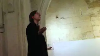 Patti Smith - Arthur Rimbaud last letter - People Have the Power - Arles 2011.mp4