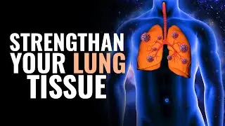 Strengthen Your Lungs Tissues | Overcome Shallow Breathing Enhance Respiration System | 432 Hz