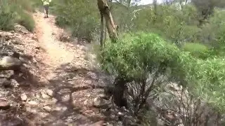 Alice Springs, Australia   West MacDonnell Ranges  #14   Serpentine Gorge   27 Jan 2016