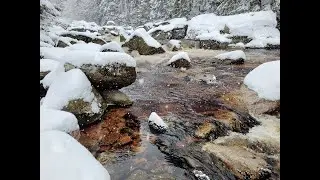 Únorová Jizera v Martinském údolí - 25. 2. 2023