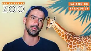 Départ Émouvant de Kinaï le Girafon.. | S08EP53 | Émission Intégrale | Une Saison Au Zoo