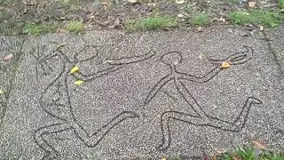 Mullumbimby Bigfoot Sightings Reports Research
