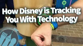 How Disney is Tracking You With Technology!
