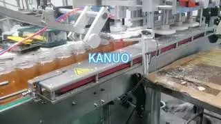 honey factory 12 head sauce honey paste filling machine 6 wheels high speed screw capping machine on