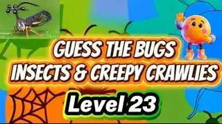 L23 Назови или угадай насекомых и жутких когтей 🐞🕷️🦋Уровень 23