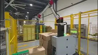 Tired of High Labor Costs? Try This Collaborative Palletizing Robot for Your Factory