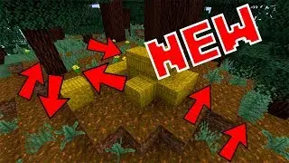 Minecraft | 1.13 Textures Showcase