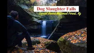 Dog Slaughter Falls Trail | One of the best hikes in Kentucky | Daniel Boone National Forest