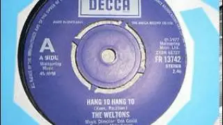 The Weltons - 'Hang 10 Hang 10' (1977)