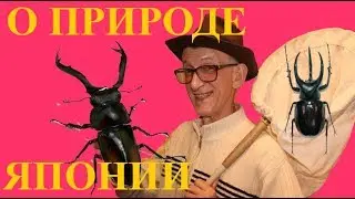 Нежное Очарование Японии. ЧАСТЬ-1. Виктор Фурсов.