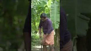 വർക്ക് ഫ്രം ഹോം| Comedy Short Video| Jaykrishnan Sreekumar