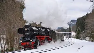 Totgesagte Leben länger Rodelblitz 2023