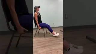 Seated Dumbbell Leg Extensions