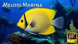 Serenità Acquatica • Correnti Oceaniche e Paesaggi Sonori Rilassanti