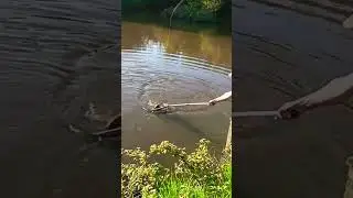 Carp fishing 2023