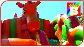 Dragon Outdoor Playground 