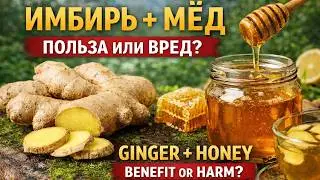 Имбирь и мёд &mdash; польза или скрытый вред?