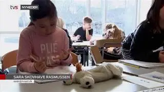 TV Syd Nyheder