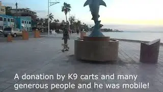 Stueys story
