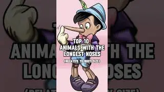 Top 10 Animals With The Longest Noses #shorts #animals