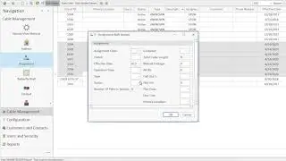 NewNet Services: CMS Bulk Update