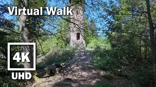 Virtual Walk Forest Hike | 15-minute | 4K Stereo | no Music | Palatinate Forest | 40