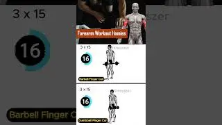 Forearm Workout You Can Do Anywhere! #fitnesszer #shorts #shots #forearms #legworkoutforwomen