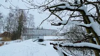 Winter Snow Walk