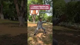 #martialarts #health #taichi #karate