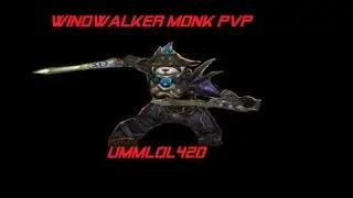 5.4 WW monk duel vs Mage rogue