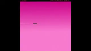 Angry Raptor - Flying in the pink World (Prototype 1) (1983)