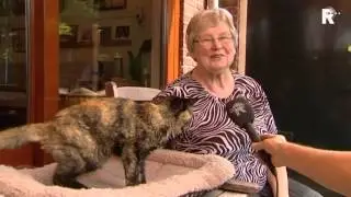 Oudste poes ter wereld overleden in Vlaardingen