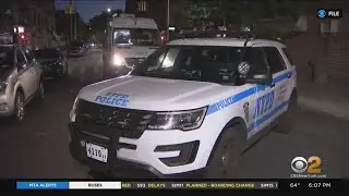 NYS court reinstates ban on chokehold-like restraint