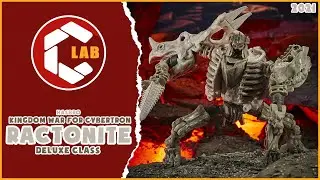 #Checkit 66 | RACTONITE | Transformers Kingdom War For Cybertron | Hasbro Deluxe Class | #shorts