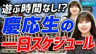 【大学生の時間割公開】慶応生に1日スケジュールを聞いてみた