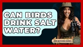 Can Birds Drink Salt Water? - Bird Watching Diaries