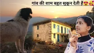 गांव की शाम बहुत सुकून देती हैं🤗🥰@Misspathakuk05#dailyvlog #shortvideo #viral #pahadi 