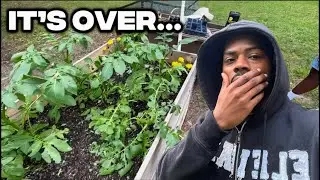 Hail Storm Destroyed The Tiny Home Garden🥲&hellip;