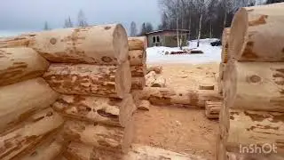 Новые срубы от Кашинской Артели . Март 2024 г